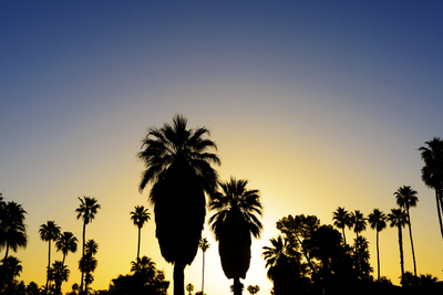 Landscape small 453179579